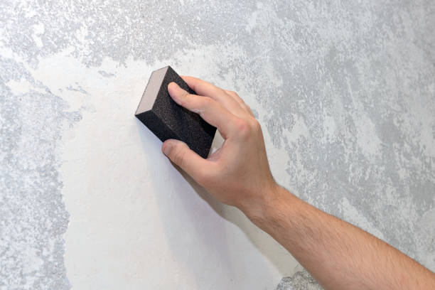 Best Environmental Consulting for Mold Prevention  in Alamosa East, CO