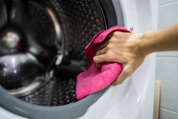 Best Mold Damage Restoration  in Alamosa East, CO