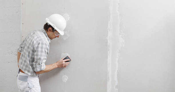 Best Comprehensive Air Testing for Mold Contaminants  in Alamosa East, CO