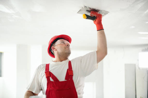 Best Mold Documentation for Insurance Claims  in Alamosa East, CO