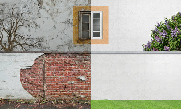 Best Mold Prevention Services  in Alamosa East, CO