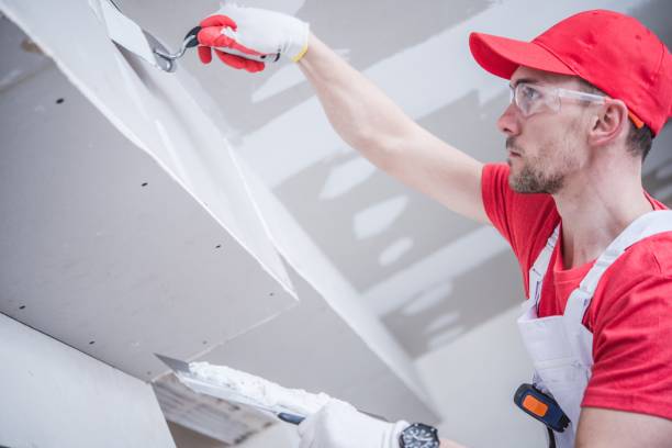 Best Dehumidification Services  in Alamosa East, CO