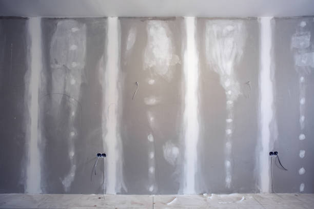 Alamosa East, CO Mold Removal Company